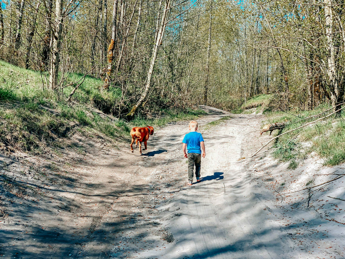 Gassi gehen