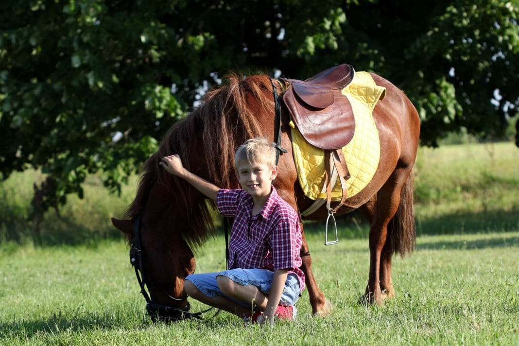 Mehr Jungs auf Pferd